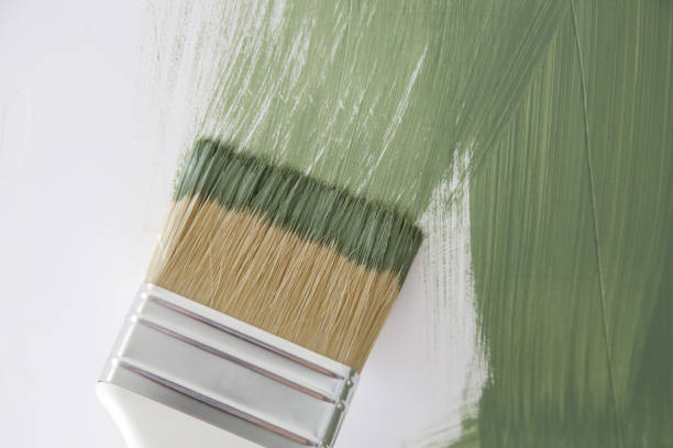Best Mold Remediation for Healthcare Facilities  in Footville, WI