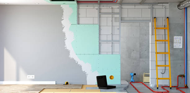 Best Basement Mold Removal  in Footville, WI
